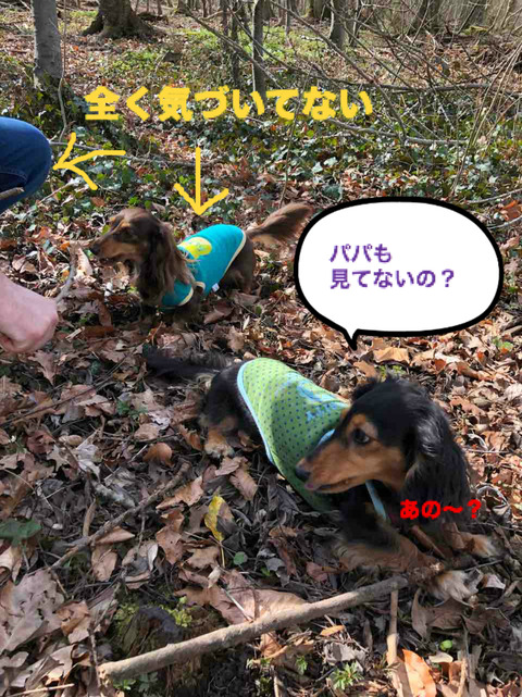BlogPaint