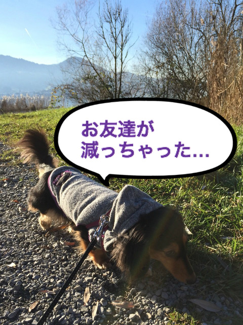 BlogPaint
