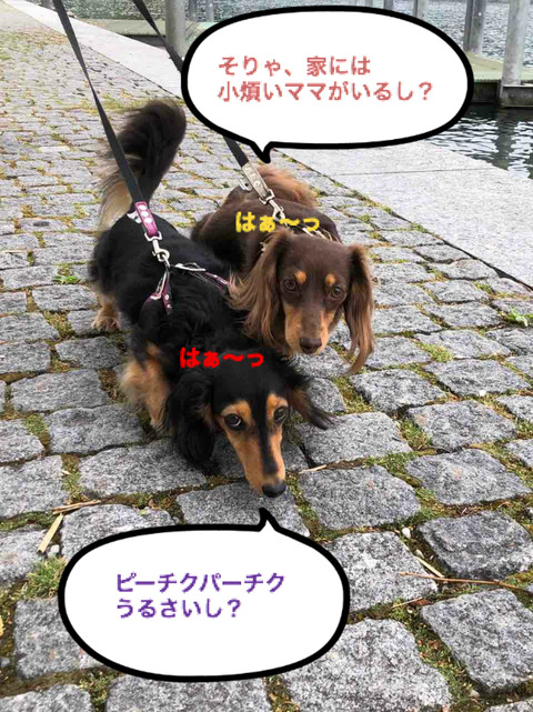 BlogPaint