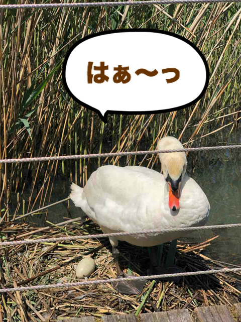 BlogPaint