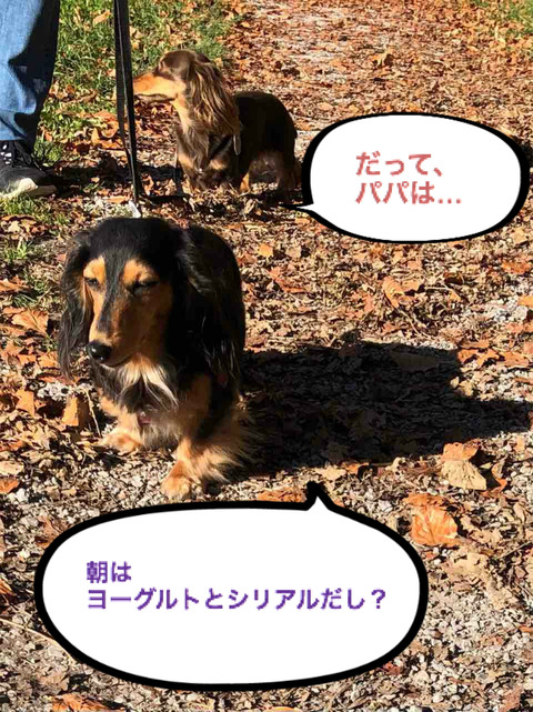 BlogPaint