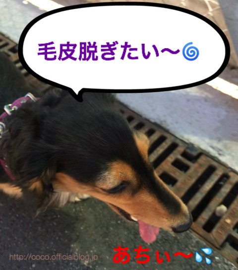 BlogPaint