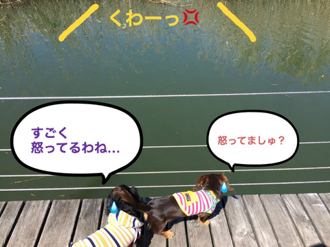 BlogPaint