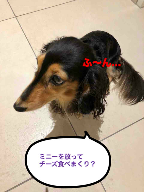 BlogPaint