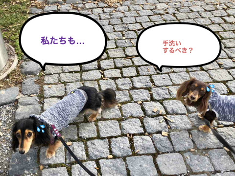 BlogPaint