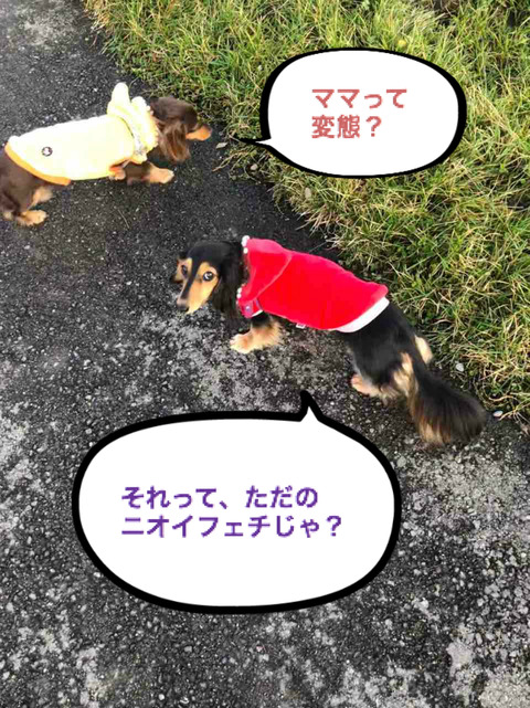 BlogPaint