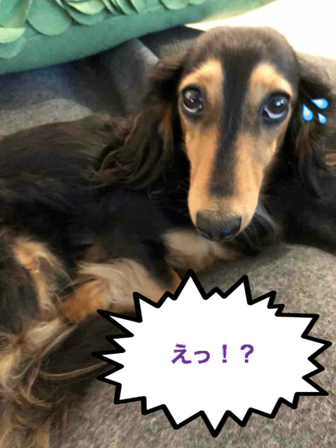 BlogPaint