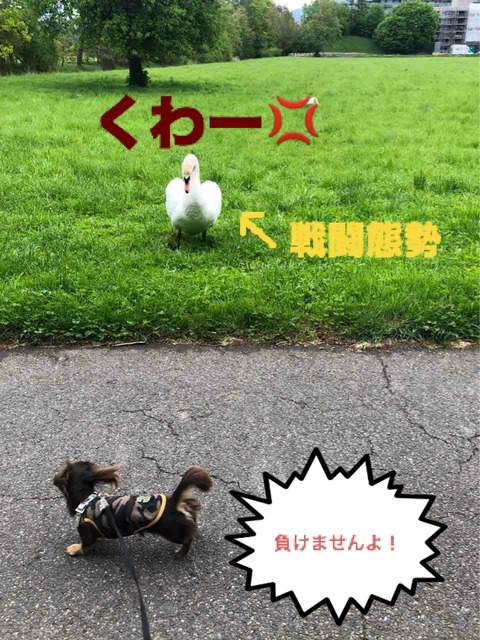 BlogPaint