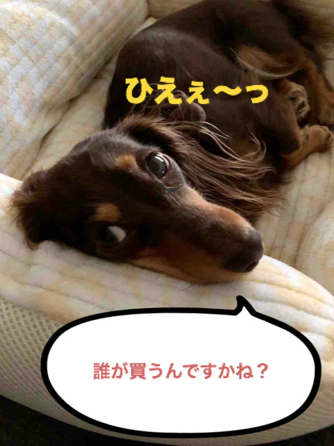 BlogPaint