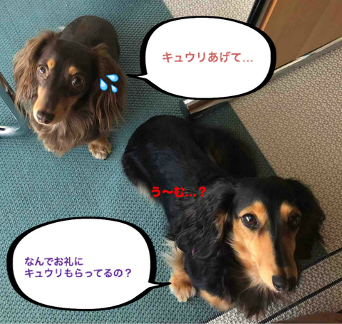 BlogPaint