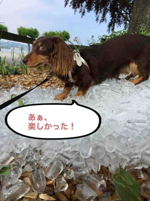 BlogPaint