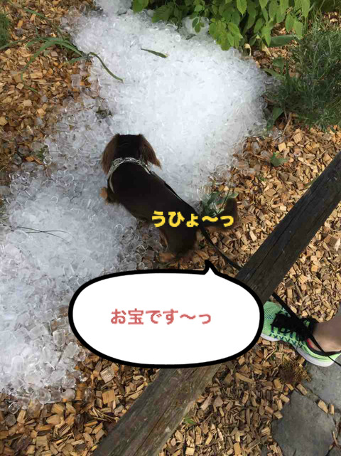 BlogPaint