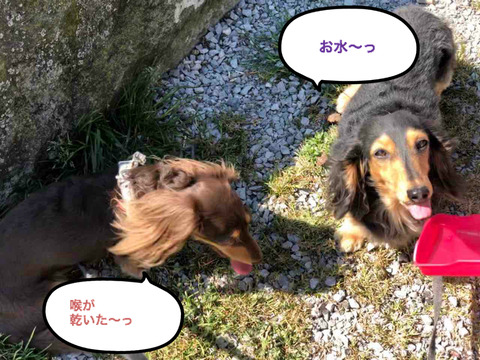 BlogPaint