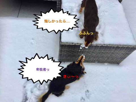 BlogPaint