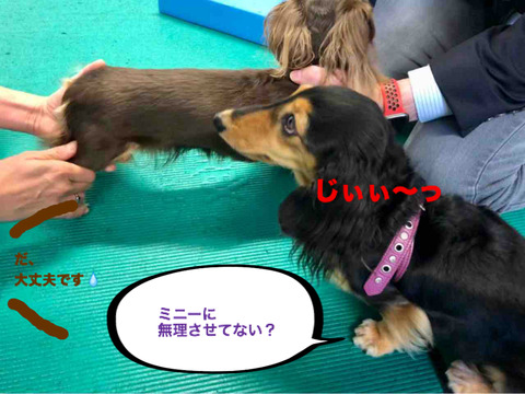 BlogPaint