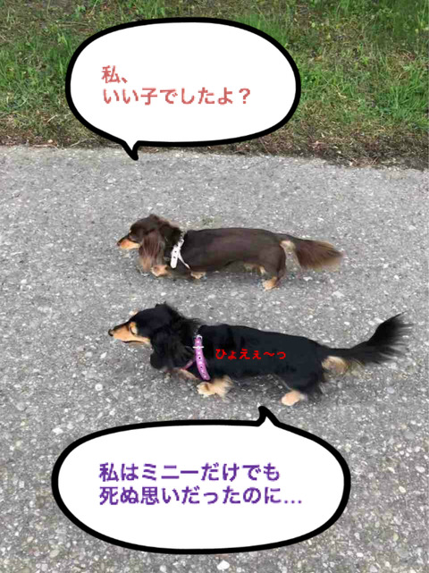 BlogPaint