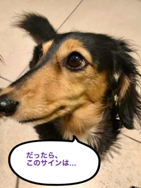 BlogPaint