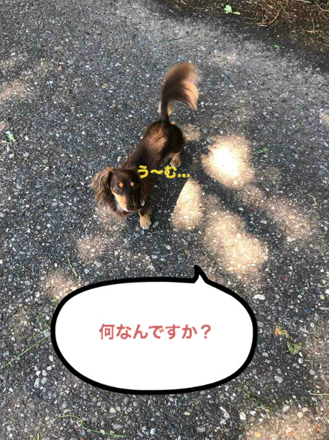 BlogPaint