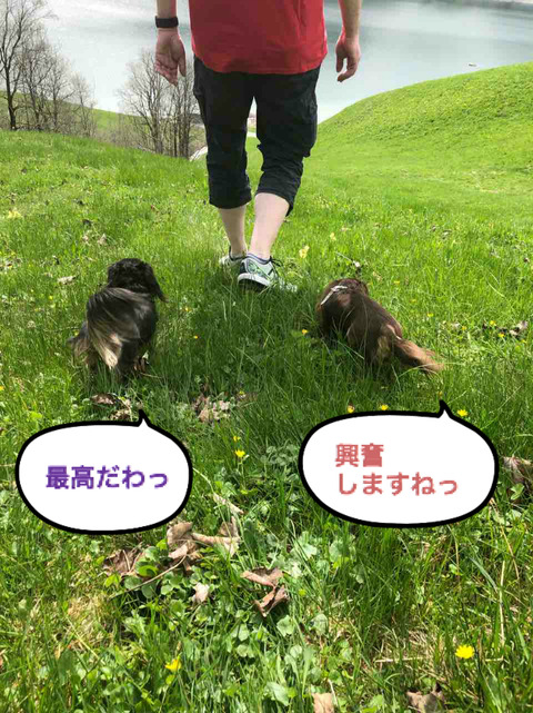 BlogPaint
