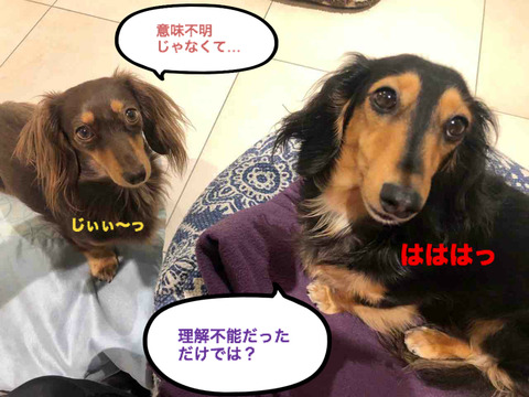 BlogPaint