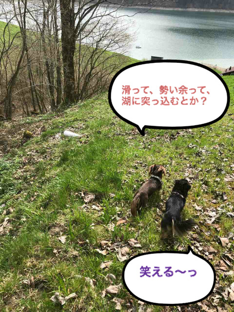 BlogPaint