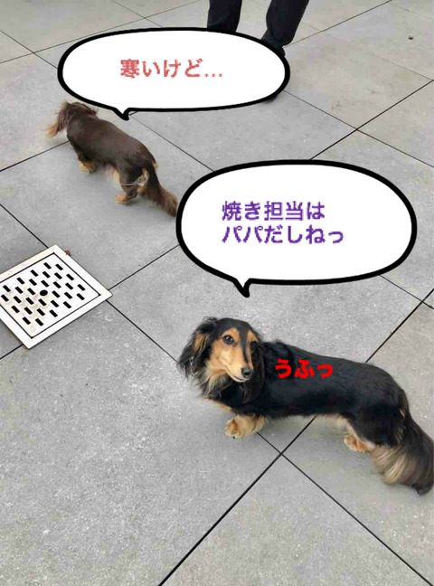 BlogPaint