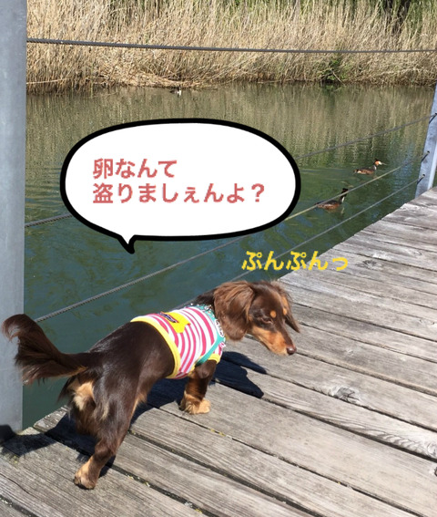 BlogPaint