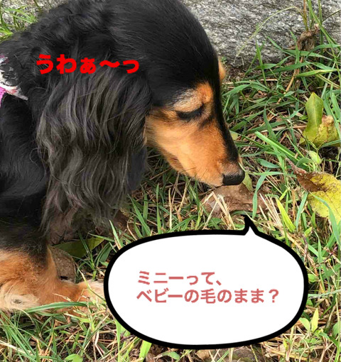 BlogPaint