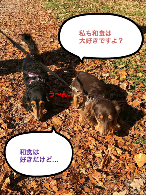 BlogPaint