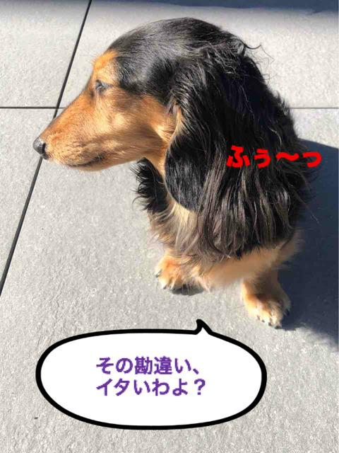 BlogPaint