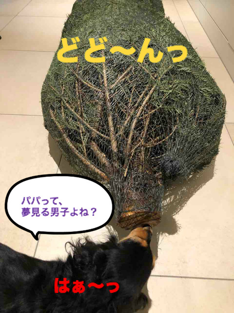 BlogPaint