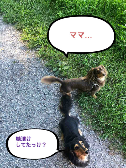 BlogPaint