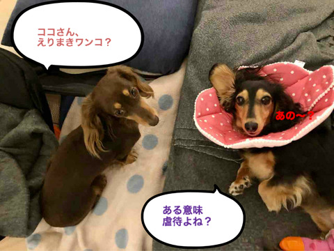 BlogPaint