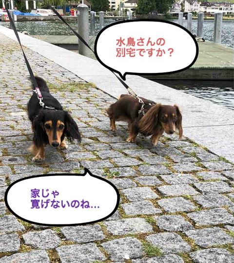 BlogPaint