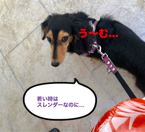 BlogPaint