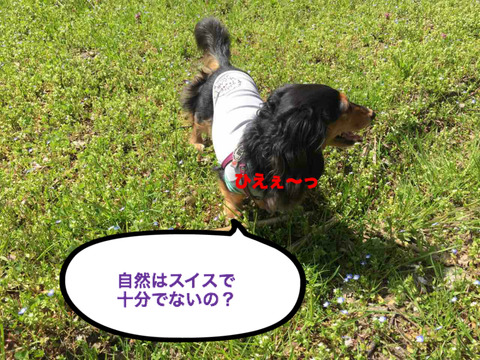 BlogPaint