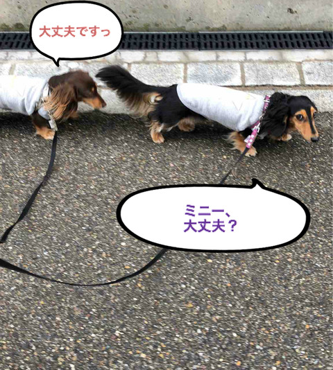 BlogPaint