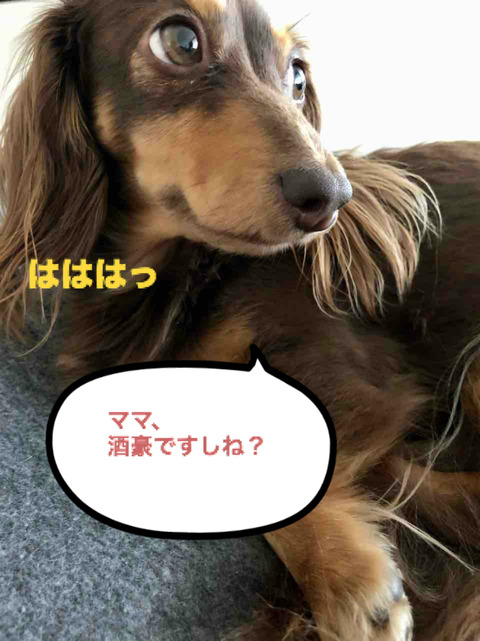 BlogPaint