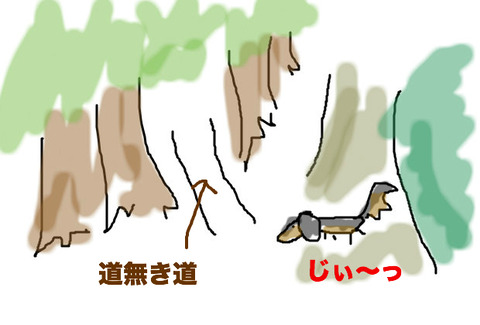 BlogPaint