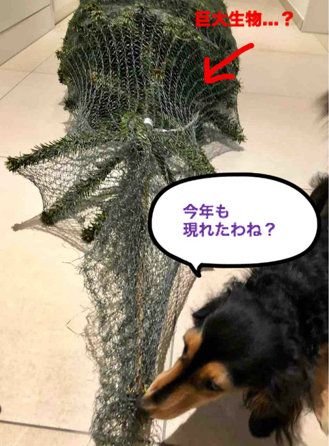 BlogPaint