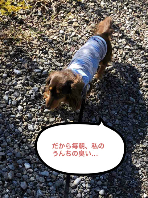 BlogPaint