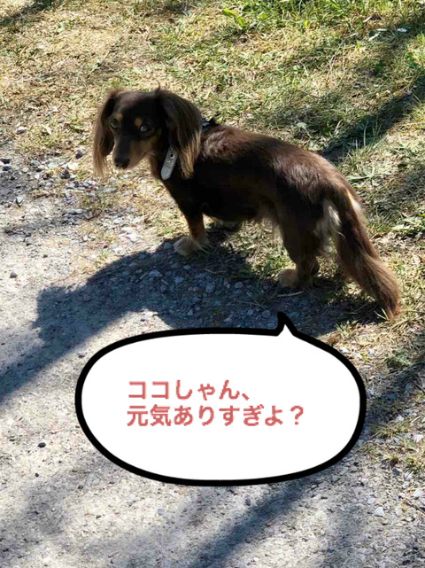 BlogPaint