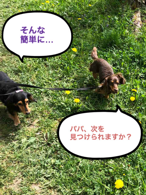 BlogPaint