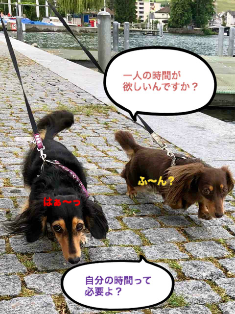 BlogPaint