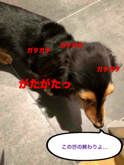 BlogPaint