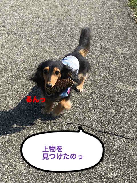BlogPaint
