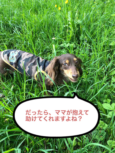 BlogPaint