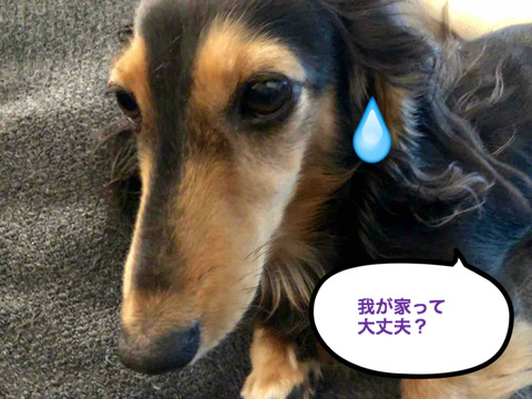 BlogPaint