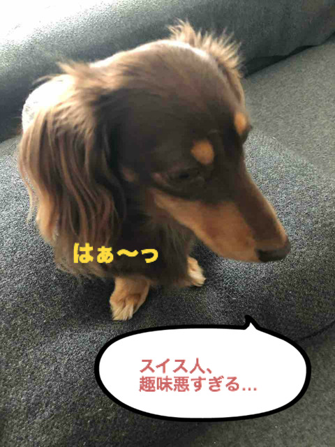 BlogPaint