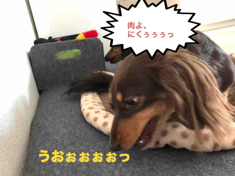 BlogPaint